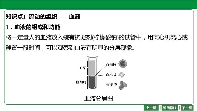 人教版2021年中考一轮复习生物 第四单元 第四章   人体内物质的运输 课件04