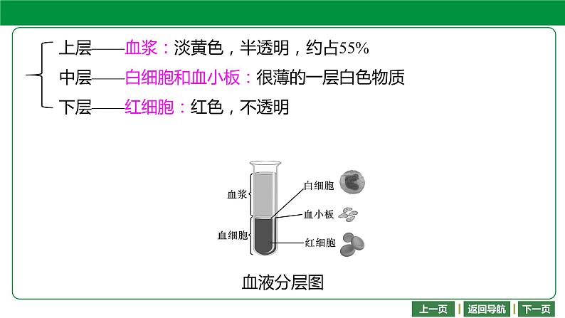 人教版2021年中考一轮复习生物 第四单元 第四章   人体内物质的运输 课件05