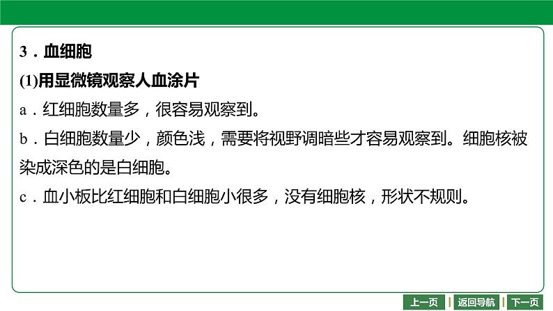 人教版2021年中考一轮复习生物 第四单元 第四章   人体内物质的运输 课件08