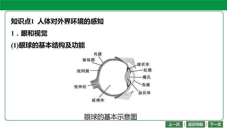 人教版2021年中考一轮复习生物 第四单元 第六章 -第七章 课件04