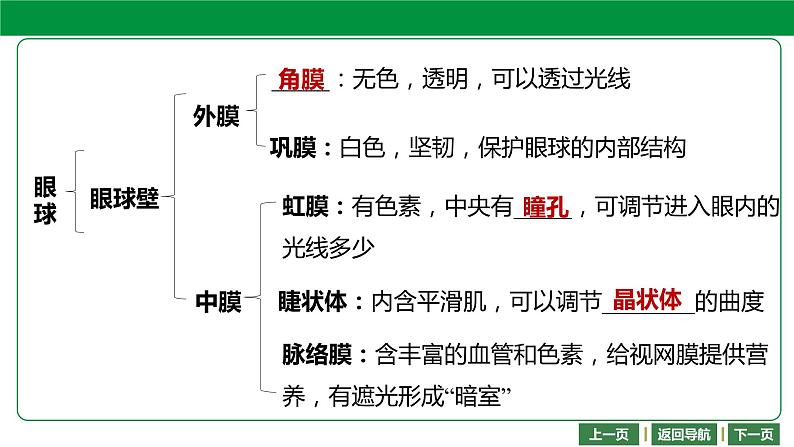 人教版2021年中考一轮复习生物 第四单元 第六章 -第七章 课件05