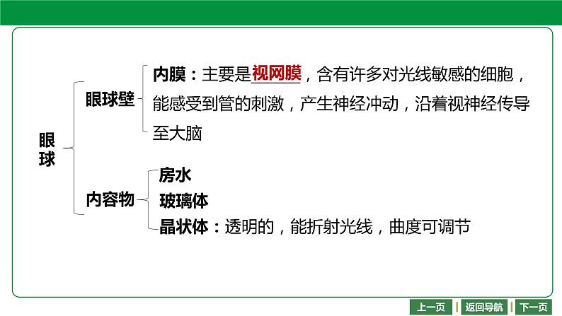 人教版2021年中考一轮复习生物 第四单元 第六章 -第七章 课件06