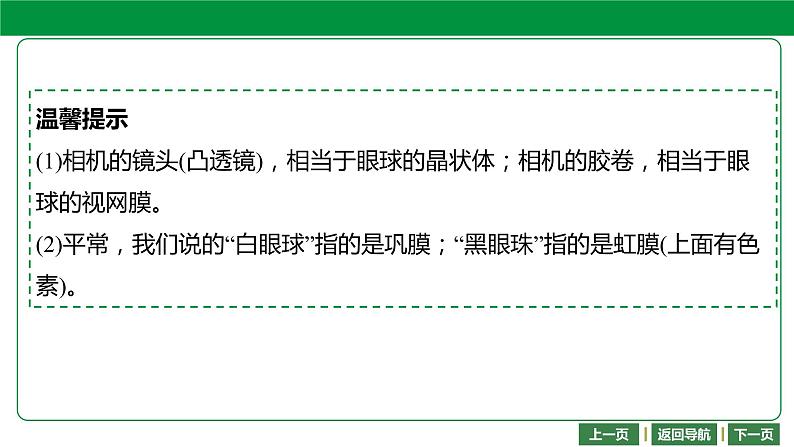 人教版2021年中考一轮复习生物 第四单元 第六章 -第七章 课件07