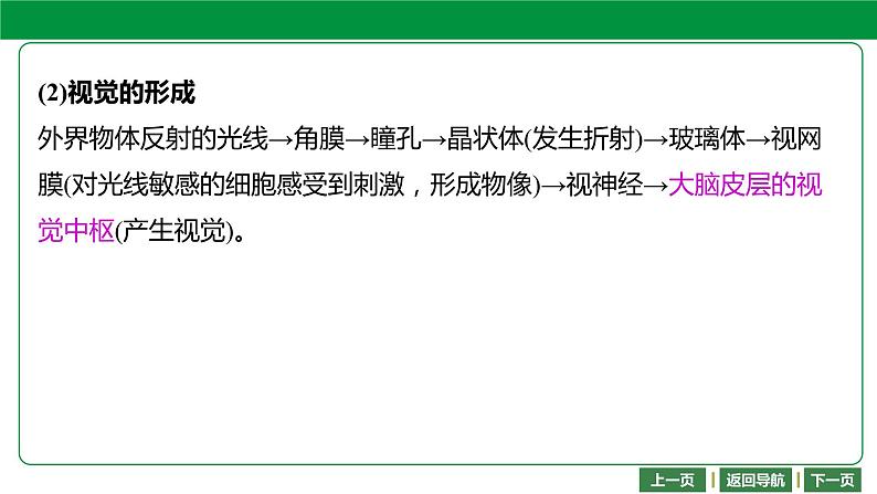 人教版2021年中考一轮复习生物 第四单元 第六章 -第七章 课件08