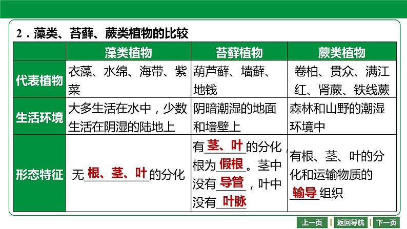 人教版2021年中考一轮复习生物 第三单元 第一章　生物圈中有哪些绿色植物 课件05