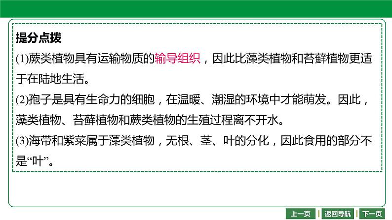 人教版2021年中考一轮复习生物 第三单元 第一章　生物圈中有哪些绿色植物 课件07