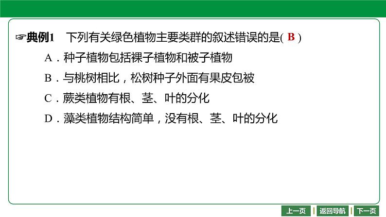 人教版2021年中考一轮复习生物 第三单元 第一章　生物圈中有哪些绿色植物 课件08