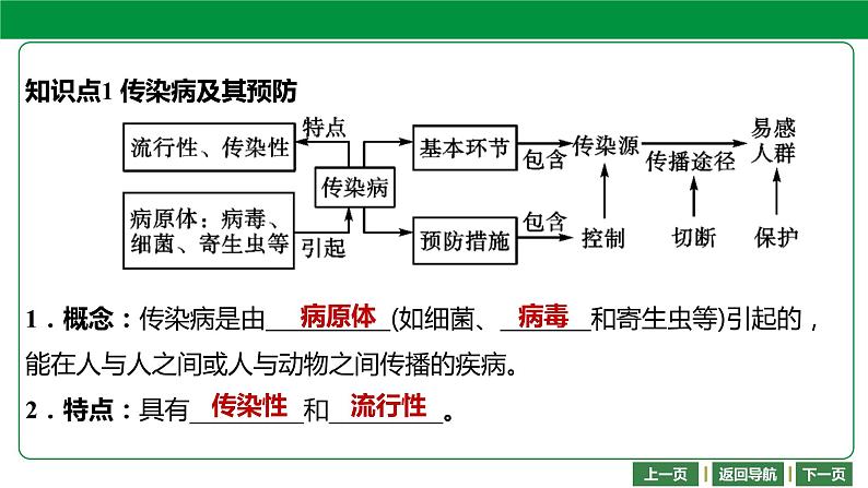 人教版2021年中考一轮复习生物 第八单元 健康地生活 课件04