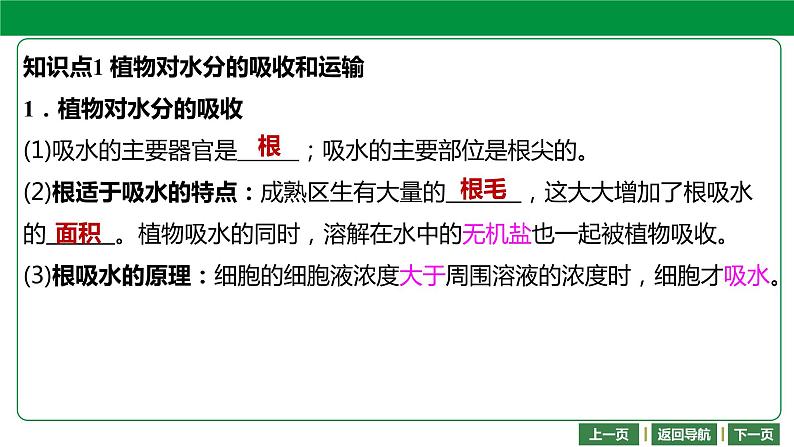 人教版2021年中考一轮复习生物  第三单元 第三章    绿色植物与生物圈的水循环 课件04