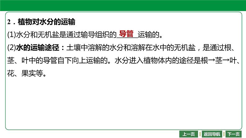 人教版2021年中考一轮复习生物  第三单元 第三章    绿色植物与生物圈的水循环 课件05