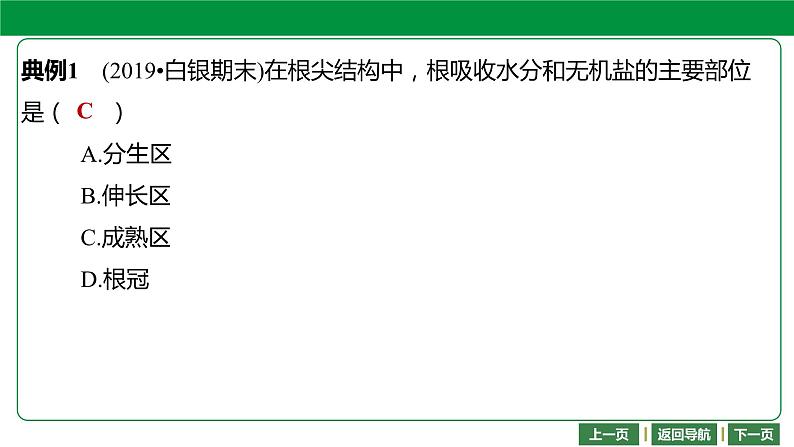 人教版2021年中考一轮复习生物  第三单元 第三章    绿色植物与生物圈的水循环 课件06