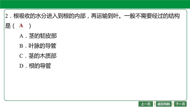 人教版2021年中考一轮复习生物  第三单元 第三章    绿色植物与生物圈的水循环 课件08