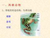 人教版八年级上册生物课件    5.1.5第五节两栖动物和爬行动物