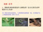 人教版八年级上册生物课件    5.1.5第五节两栖动物和爬行动物