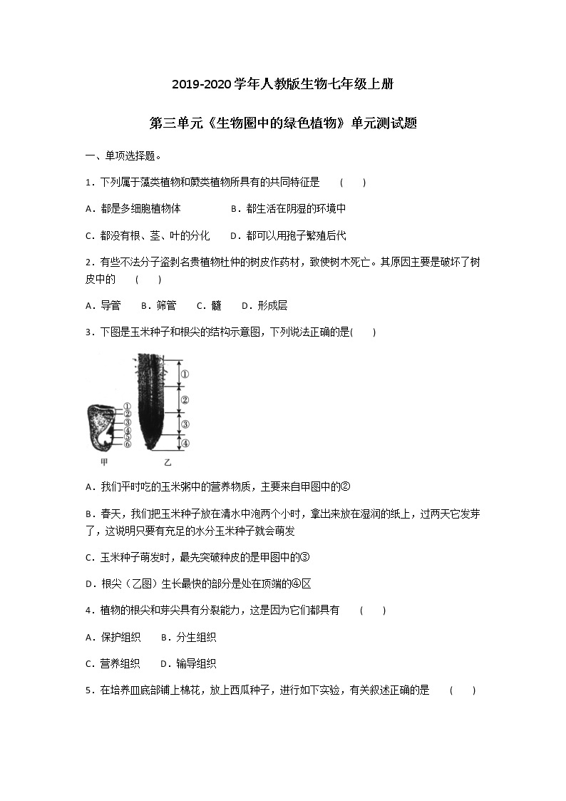 2019-2020学年人教版生物七年级上册第三单元《生物圈中的绿色植物》单元测试题及答案01