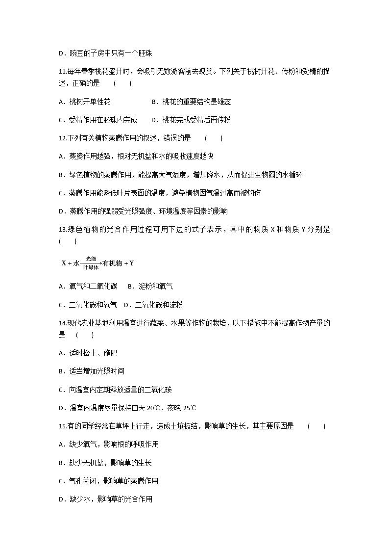 2019-2020学年人教版生物七年级上册第三单元《生物圈中的绿色植物》单元测试题及答案第3页