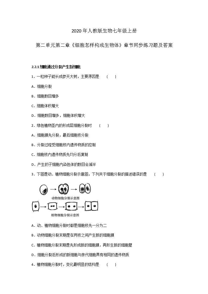 2020年人教版生物七年级上册第二单元第二章《细胞怎样构成生物体》章节同步练习题及答案01