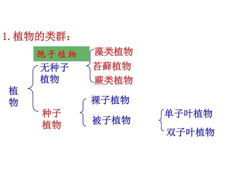 14.1五彩缤纷的植物世界 课件 苏教版八年级生物上册03