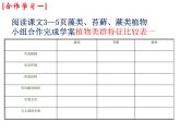 14.1五彩缤纷的植物世界 课件 苏教版八年级生物上册