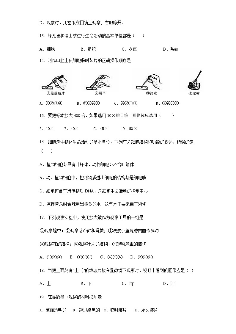 人教版生物七年级上第二单元《生物体的结构层次》练习题（含答案）第3页