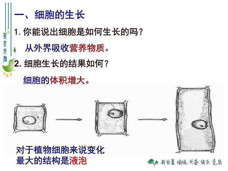 第二单元2.1《细胞通过分裂产生新细胞》教学课件第5页