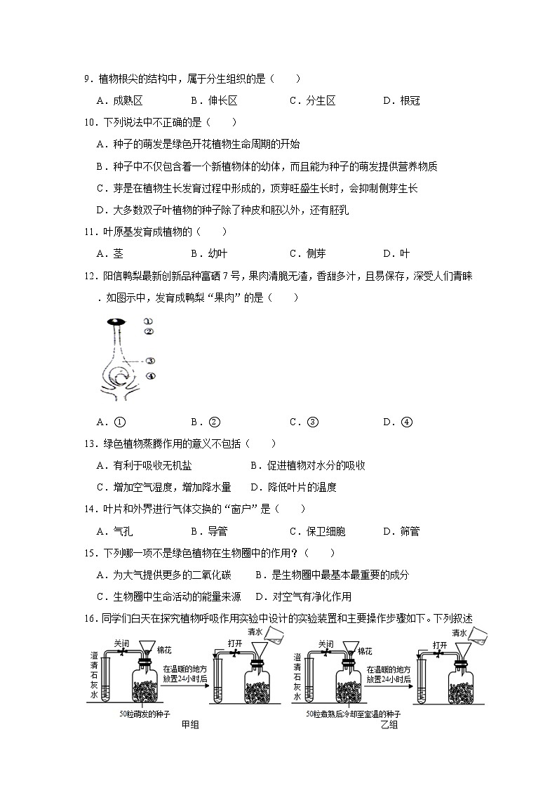 北师大版生物七年级上册《第3单元 生物圈中的绿色植物》练习题（解析版）02