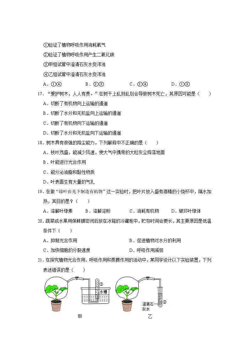 北师大版生物七年级上册《第3单元 生物圈中的绿色植物》练习题（解析版）03