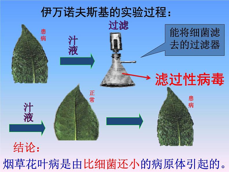 人教版八年级上册生物第五单元  第五章 病毒 课件（46张PPT）05