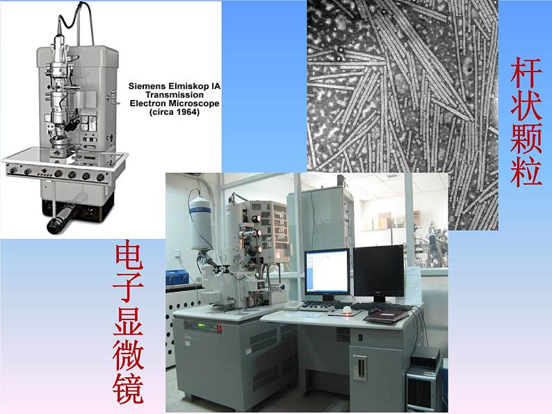 人教版八年级上册生物第五单元  第五章 病毒 课件（46张PPT）第6页