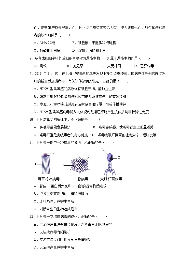 人教版生物八年级上册《第五单元 第五章 病毒》测试卷（解析版）02