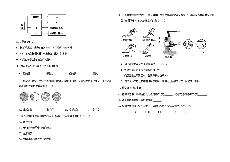 初中生物_第二单元综合与测试卷（含解析）第2页