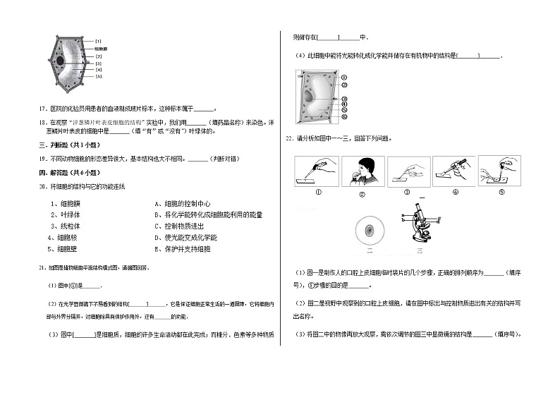初中生物_第二单元综合与测试卷（含解析）第3页