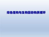 苏教版生物七年级上册课件：3.7.2绿色植物与生物圈的物质循环（共23张PPT）