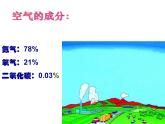苏教版生物七年级上册课件：3.7.2绿色植物与生物圈的物质循环（共23张PPT）