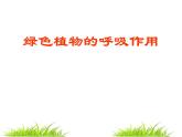 苏教版生物七年级上册课件：3.6.4绿色植物的呼吸作用（共26张PPT）