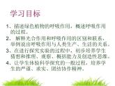 苏教版生物七年级上册课件：3.6.4绿色植物的呼吸作用（共26张PPT）