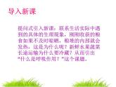 苏教版生物七年级上册课件：3.6.4绿色植物的呼吸作用（共26张PPT）