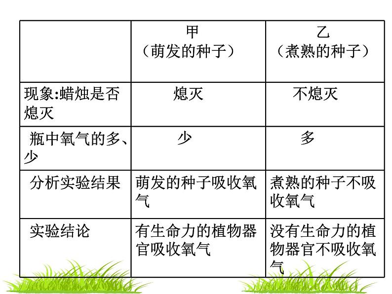 苏教版生物七年级上册课件：3.6.4绿色植物的呼吸作用（共26张PPT）第8页