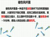 人教版八年级生物上册  5.4.2 细菌（29张PPT）