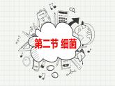人教版八年级生物上册  5.4.2 细菌（29张PPT）