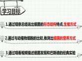 人教版八年级生物上册  5.4.2 细菌（29张PPT）