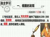 人教版八年级生物上册  5.4.2 细菌（29张PPT）