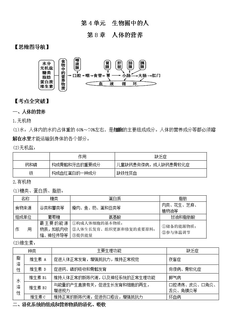 北师大版生物中考一轮复习学案：第四单元 生物圈中的人第1页