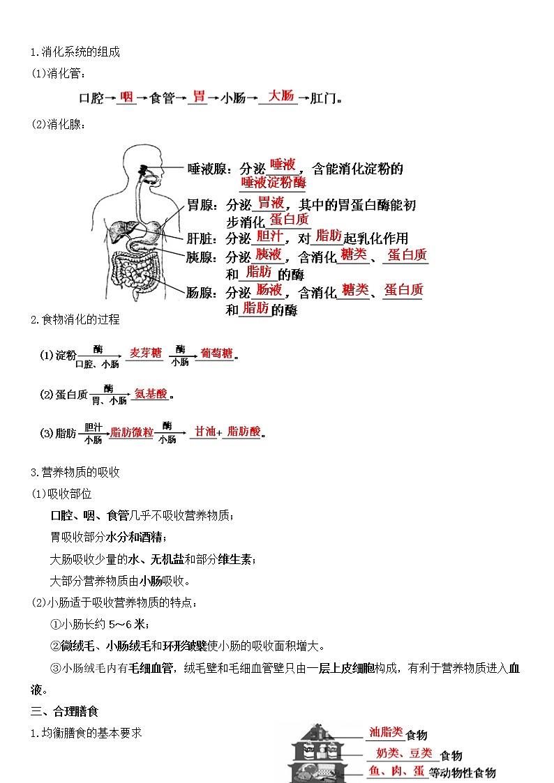 北师大版生物中考一轮复习学案：第四单元 生物圈中的人第2页
