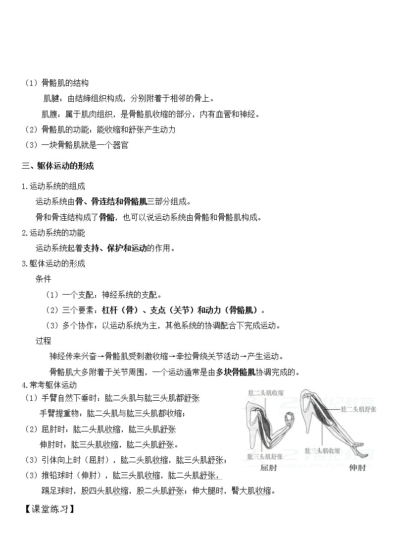 北师大版生物中考一轮复习学案：第五单元 生物圈中的动物和微生物03