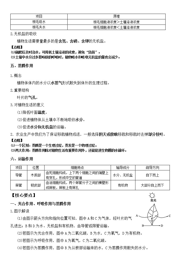 北师大版生物中考一轮复习学案：第三单元 生物圈中的绿色植物第3页