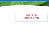 苏科版八年级上册生物 19.2植物的生长发育 课件（18张ppt）