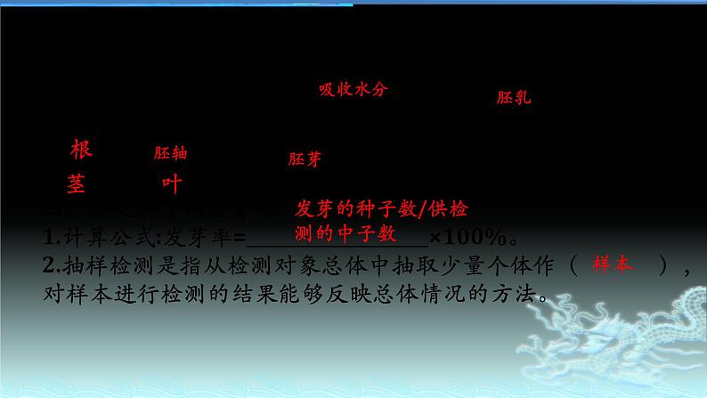 人教版七年级生物上册  3.2.2植株的生长（27张PPT）第2页