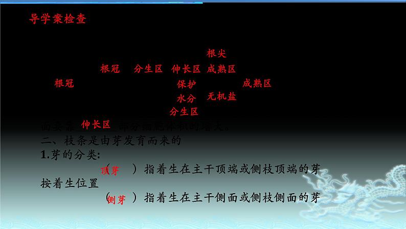 人教版七年级生物上册  3.2.2植株的生长（27张PPT）第3页