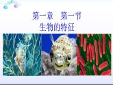 人教版七年级生物上册  1.1.1生物的特征（34张PPT）